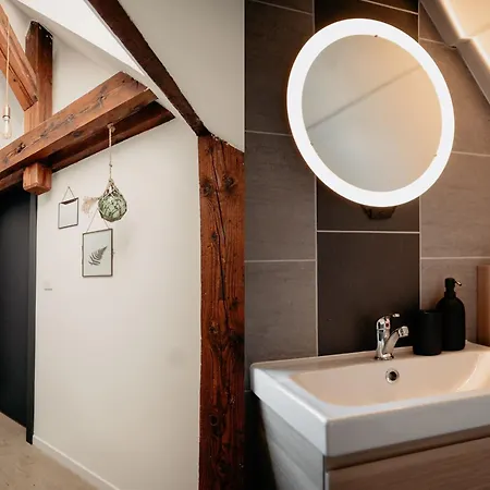 Duplex Cosy Le Boho * Guebwiller
